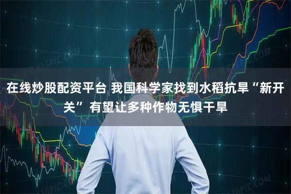 在线炒股配资平台 我国科学家找到水稻抗旱“新开关” 有望让多种作物无惧干旱